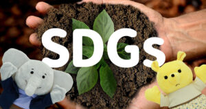 SDGsイメージ画像